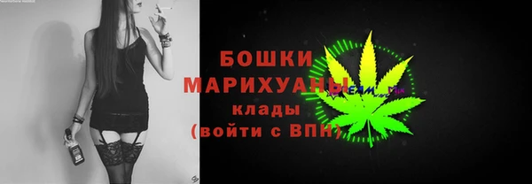 мдпв Вязьма