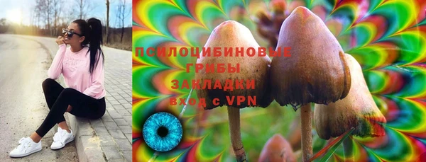 ешки Нефтегорск