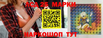 apvp Камышлов