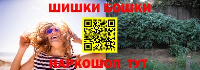 apvp Камышлов