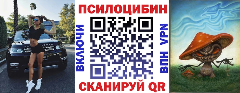 где купить наркотик  Биробиджан  Псилоцибиновые грибы мицелий 