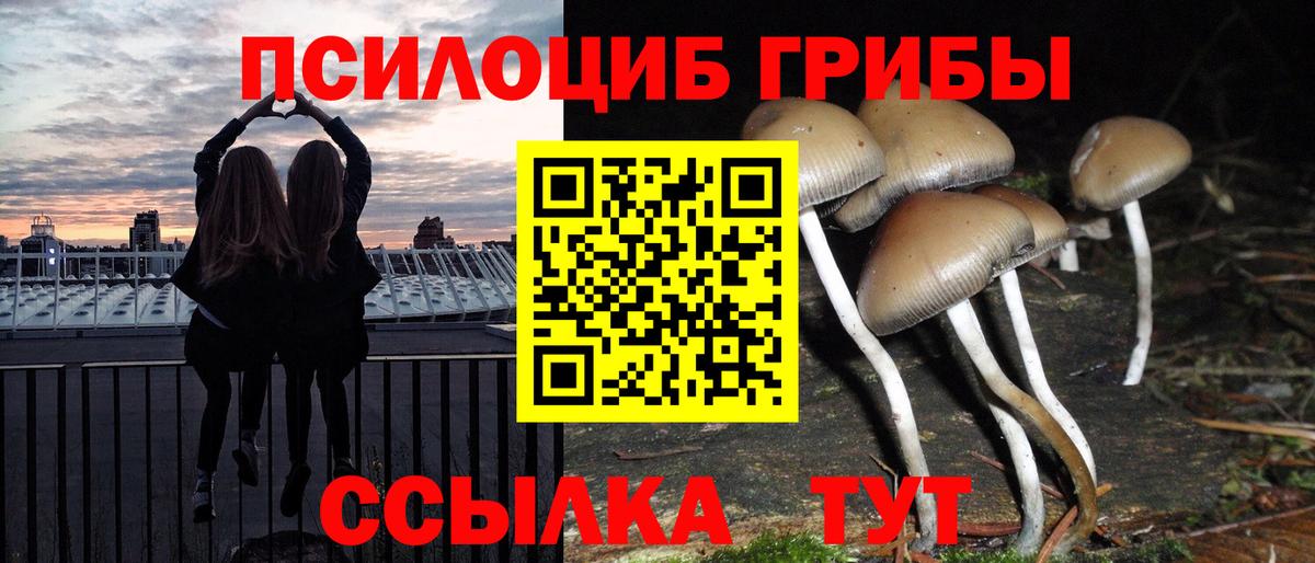 Галлюциногенные грибы мицелий Биробиджан