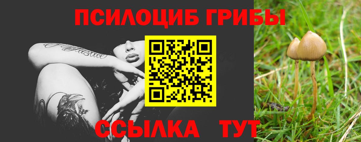 Биробиджан  Галлюциногенные грибы Cubensis  наркошоп  Вход с VPN 